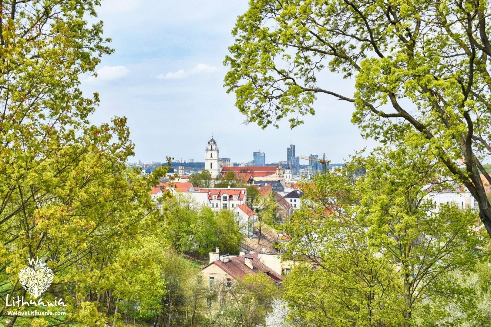 Žaliuojantis Vilniaus miestas