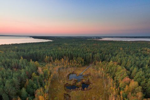 aukštapelkė esanti, Metelių regioniniame parke, Dusios ir Metelio ežerų pietrytinėje tarpuežerio dalyje.