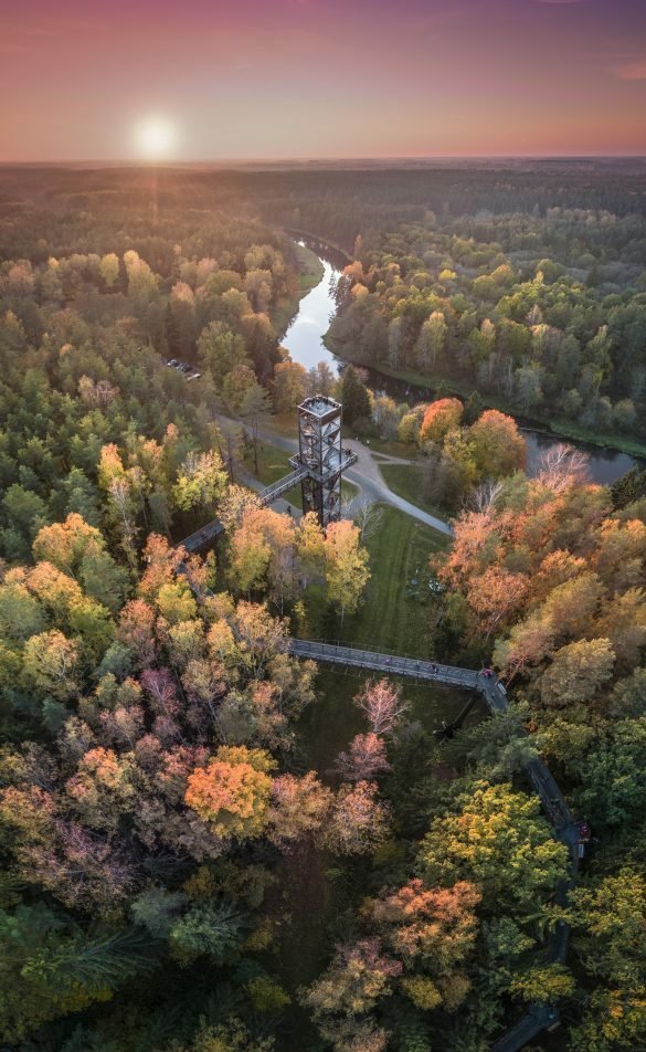 Anykščių lajų takas – tai pirmasis takas Baltijos šalyse ir visoje Rytų Europoje, kur galima pasivaikščioti medžių lajų lygyje.