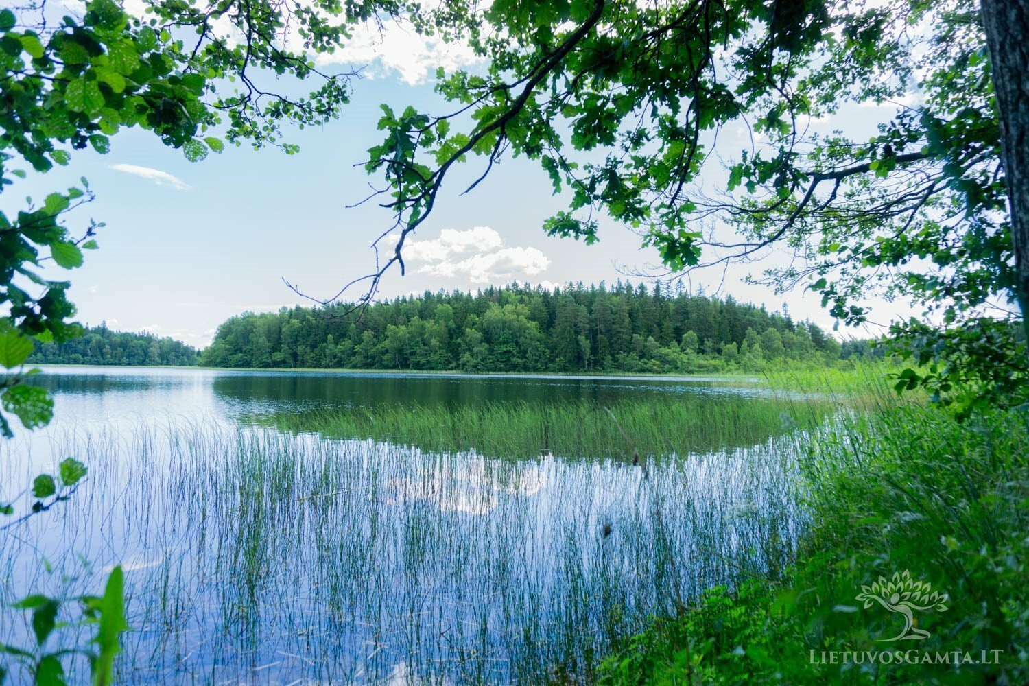 Gražiausios Lietuvos salos – rojaus kampeliai arti namų