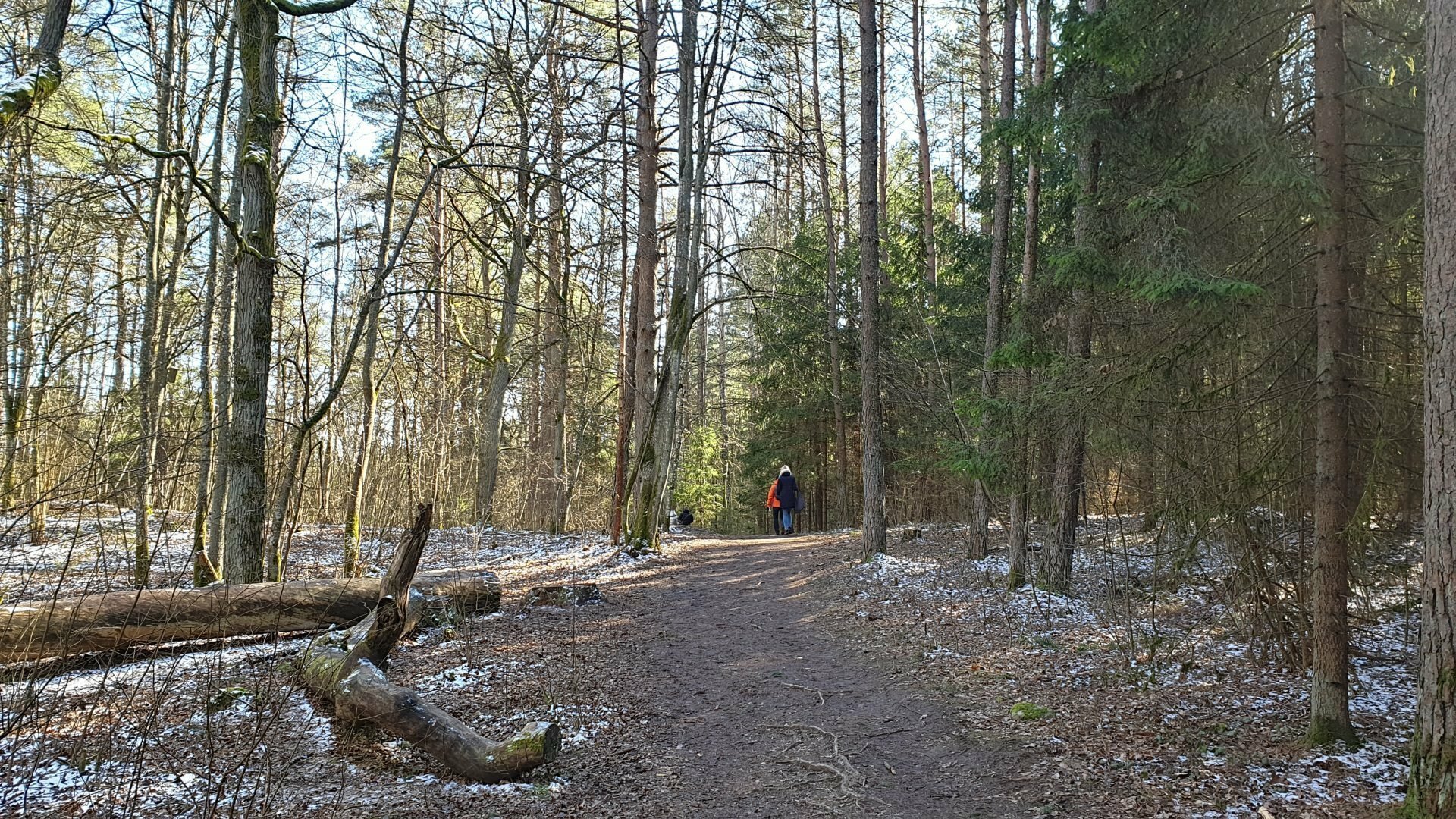 Varnikų pažintinis takas