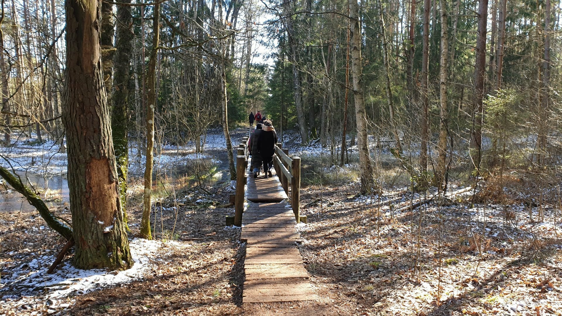 Varnikų pažintinis takas