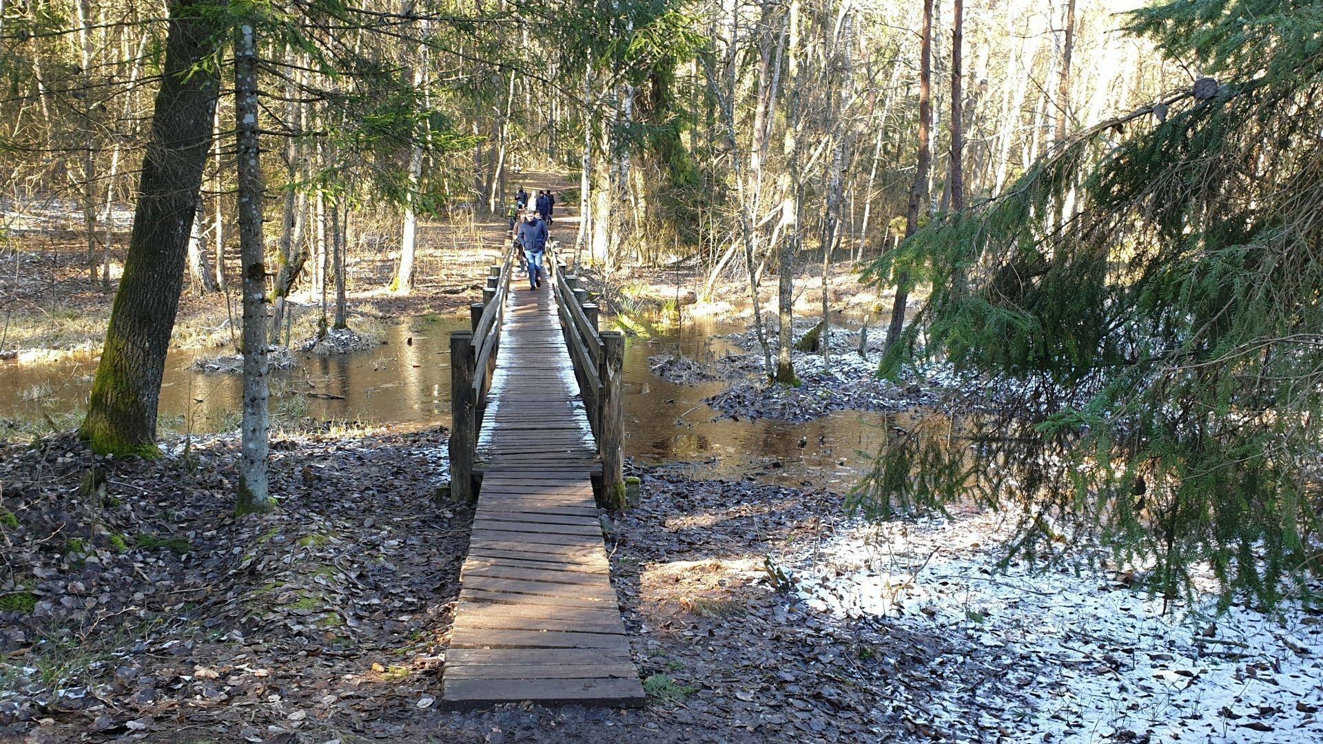 Varnikų pažintinis takas