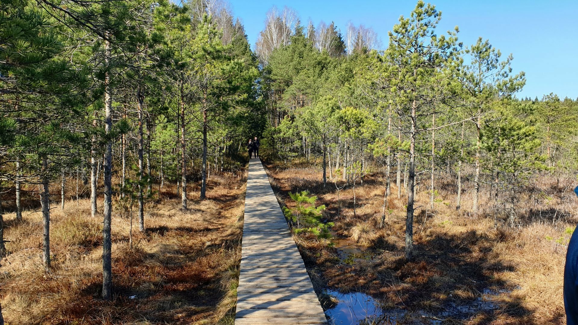 Varnikų pažintinis takas