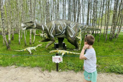 Dinozaurų parkas Radailiuose