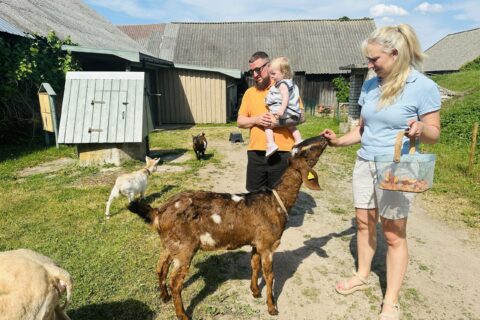 Gyvūnų ūkiai ir zoo Lietuvoje