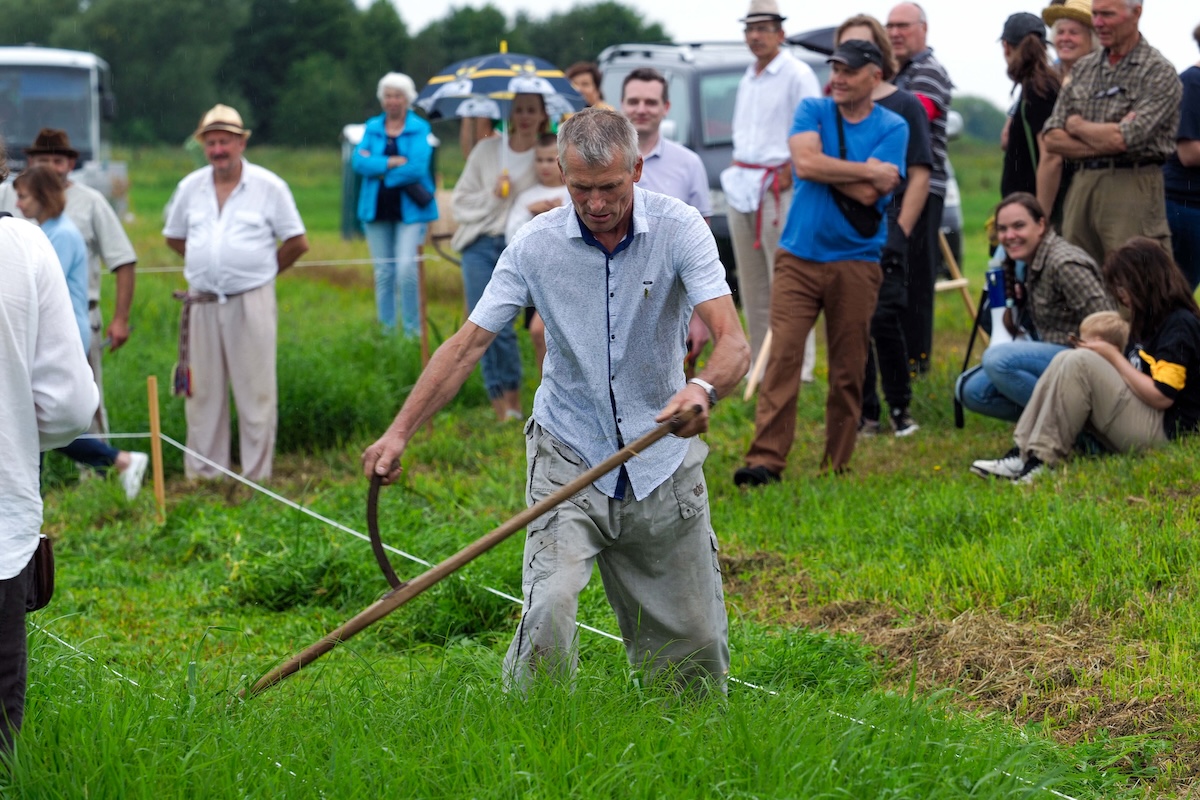 Nacionalinis šienpjovių čempionatas