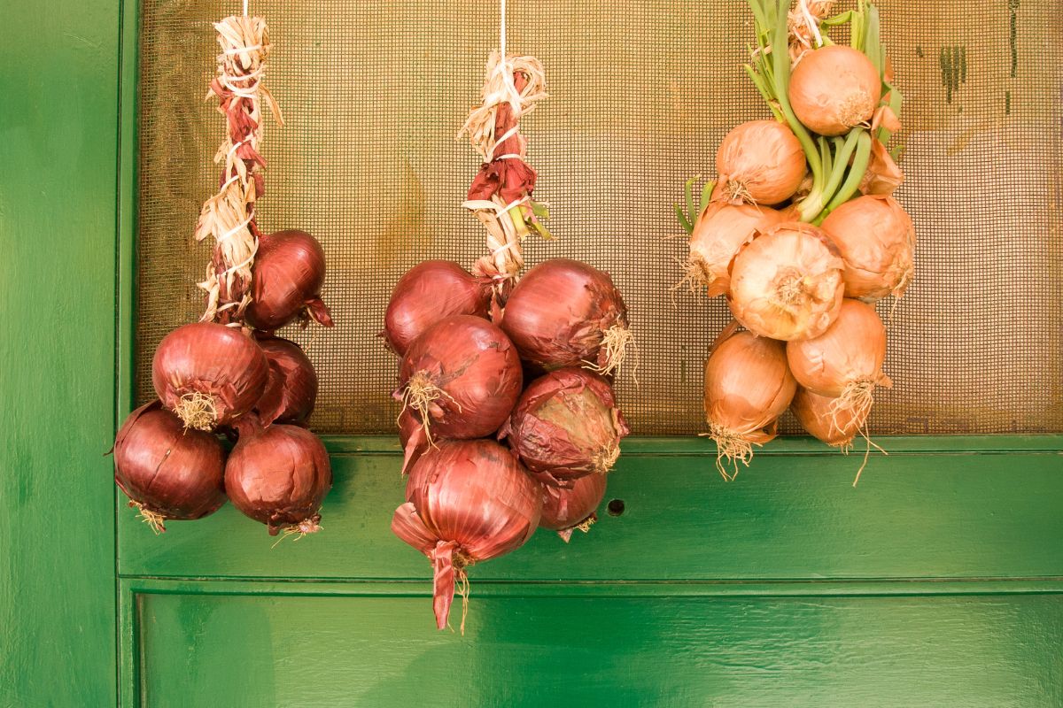 Naujųjų metų tradicijos Graikijoje - svogūnų kabinimas